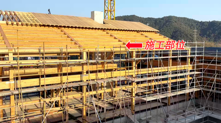 微信圖片_20250214155943.png