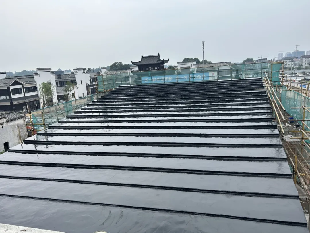 20251011114511253782.png 圖片21.png