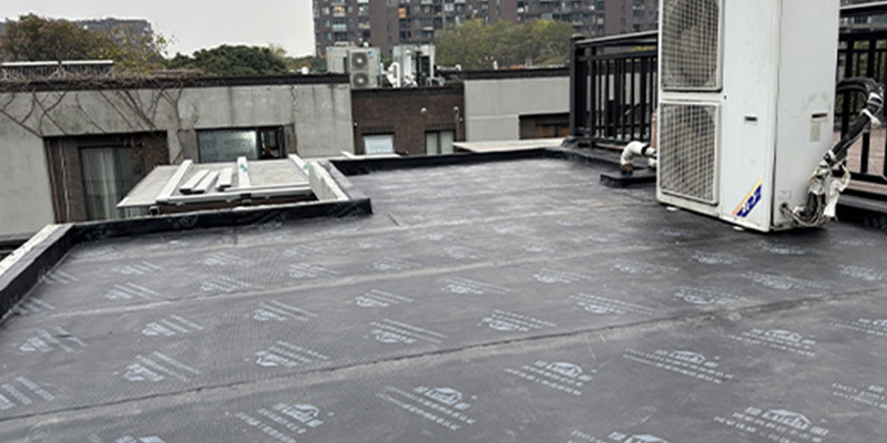 20251208110107525276.jpg 31.jpg