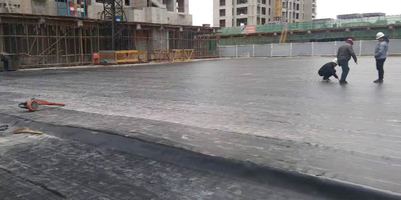 20260203090208771609.jpg 45.jpg