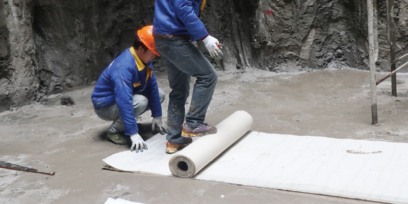 20260209085401258701.jpg 48.jpg