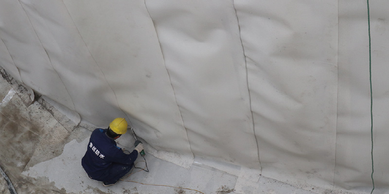 20260209085451113428.jpg 50.jpg