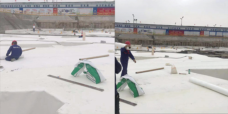 20260209085607575795.jpg 51.jpg